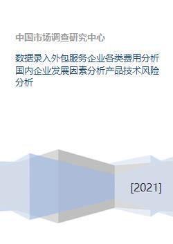 軟件外包服務企業(yè)多維剖析 成本結構、發(fā)展要素與技術風險管理